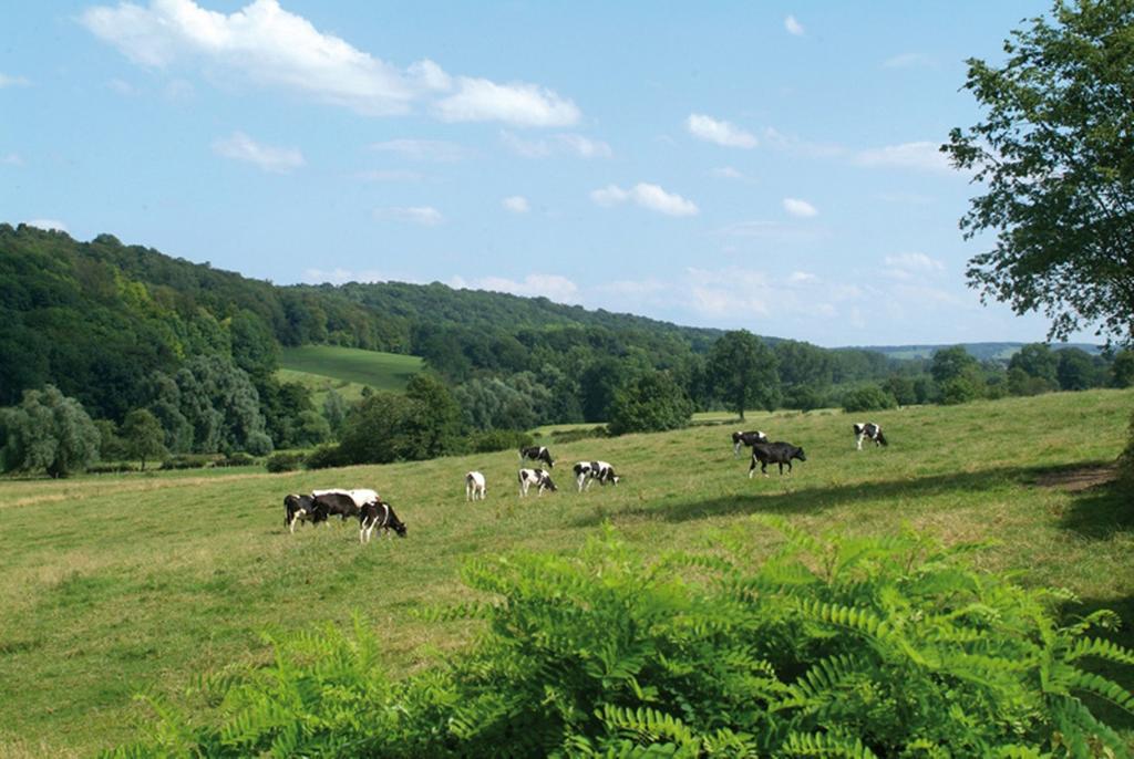 Klein Zwitserland Slenaken Bilik gambar